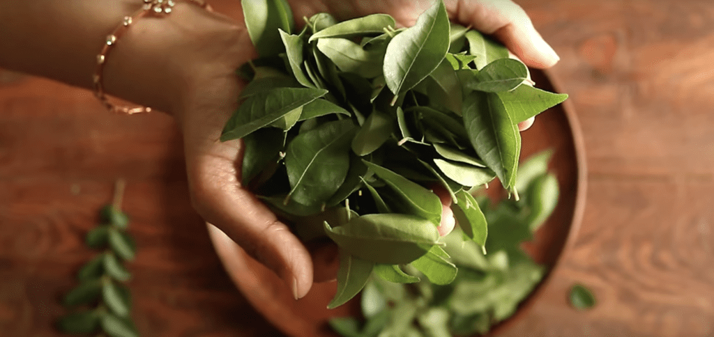 11 Incredible Health Benefits of Curry Leaves 